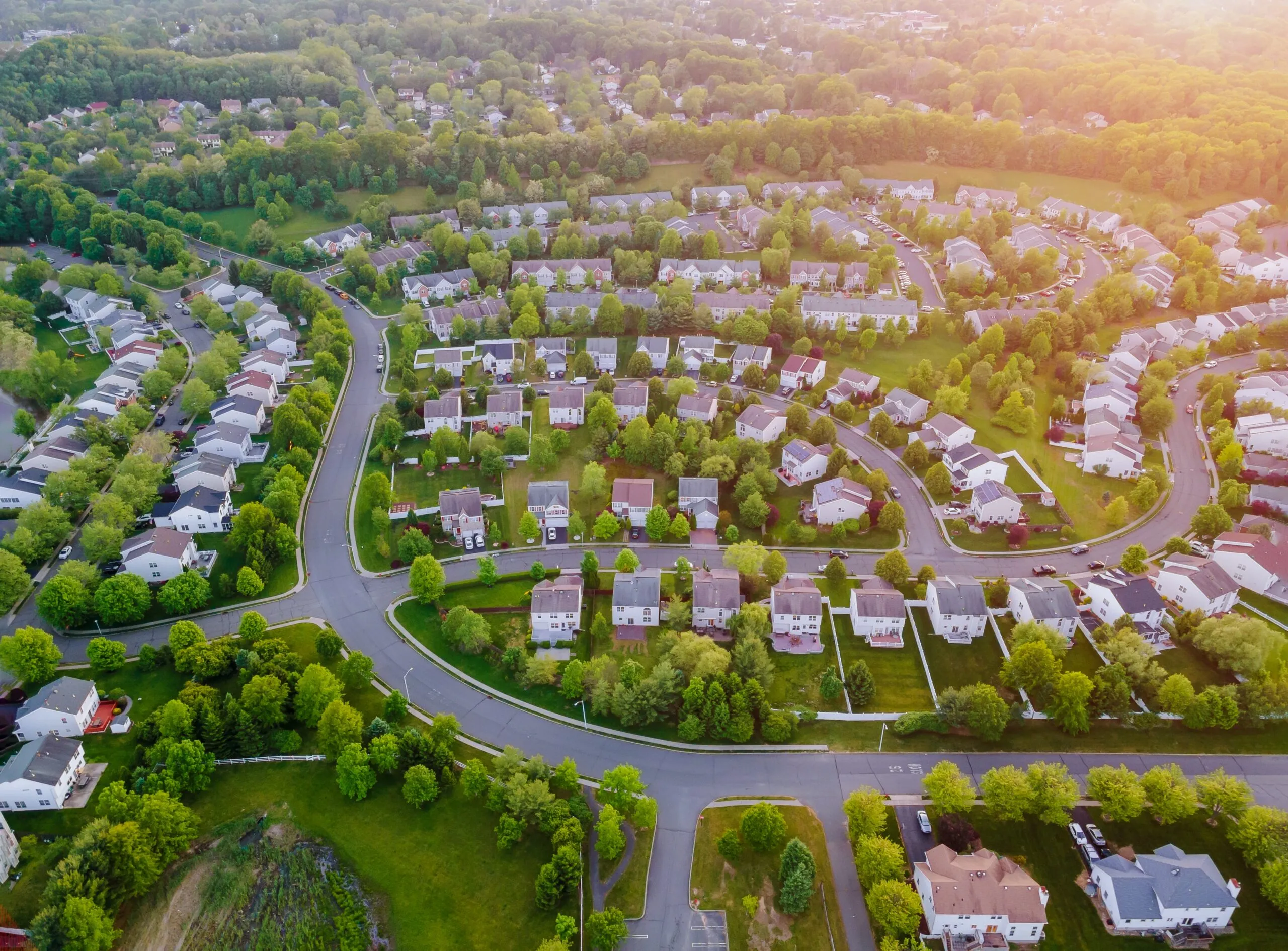 Australian suburb viewed through trees